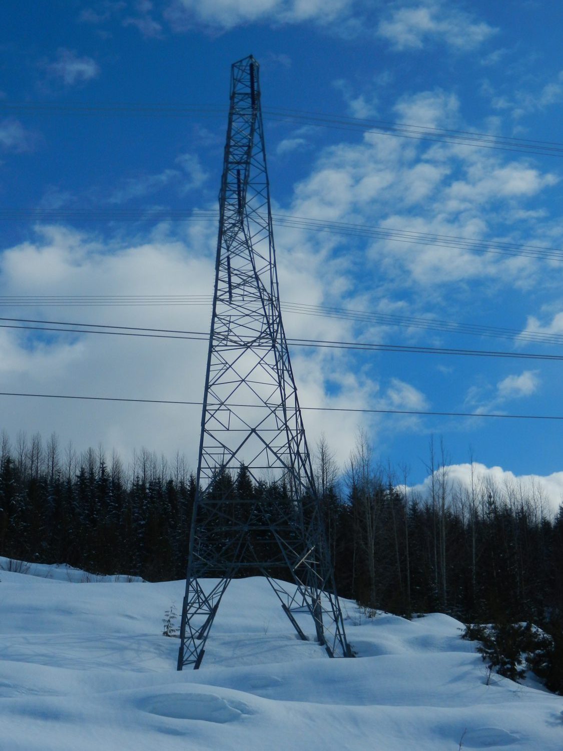 BC Hydro Interior to Lower Mainland Transmission Line: Avalanche Risk Assessment and Snow Creep and Glide Loads on Structures