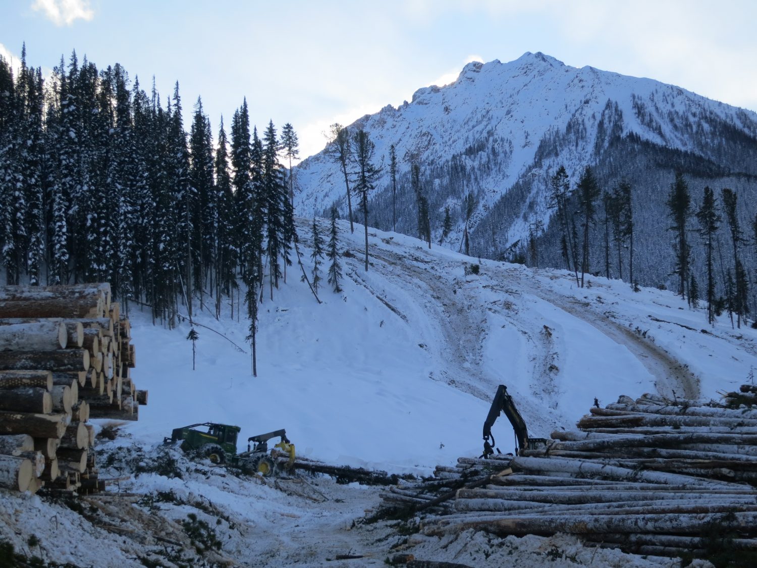Forest Operations: Avalanche Safety Plan, Avalanche Risk Assessments and Avalanche Safety Program(s)