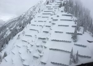 Trans-Canada Highway Avalanche Mitigation Project for Glacier National Park snow nets support structure